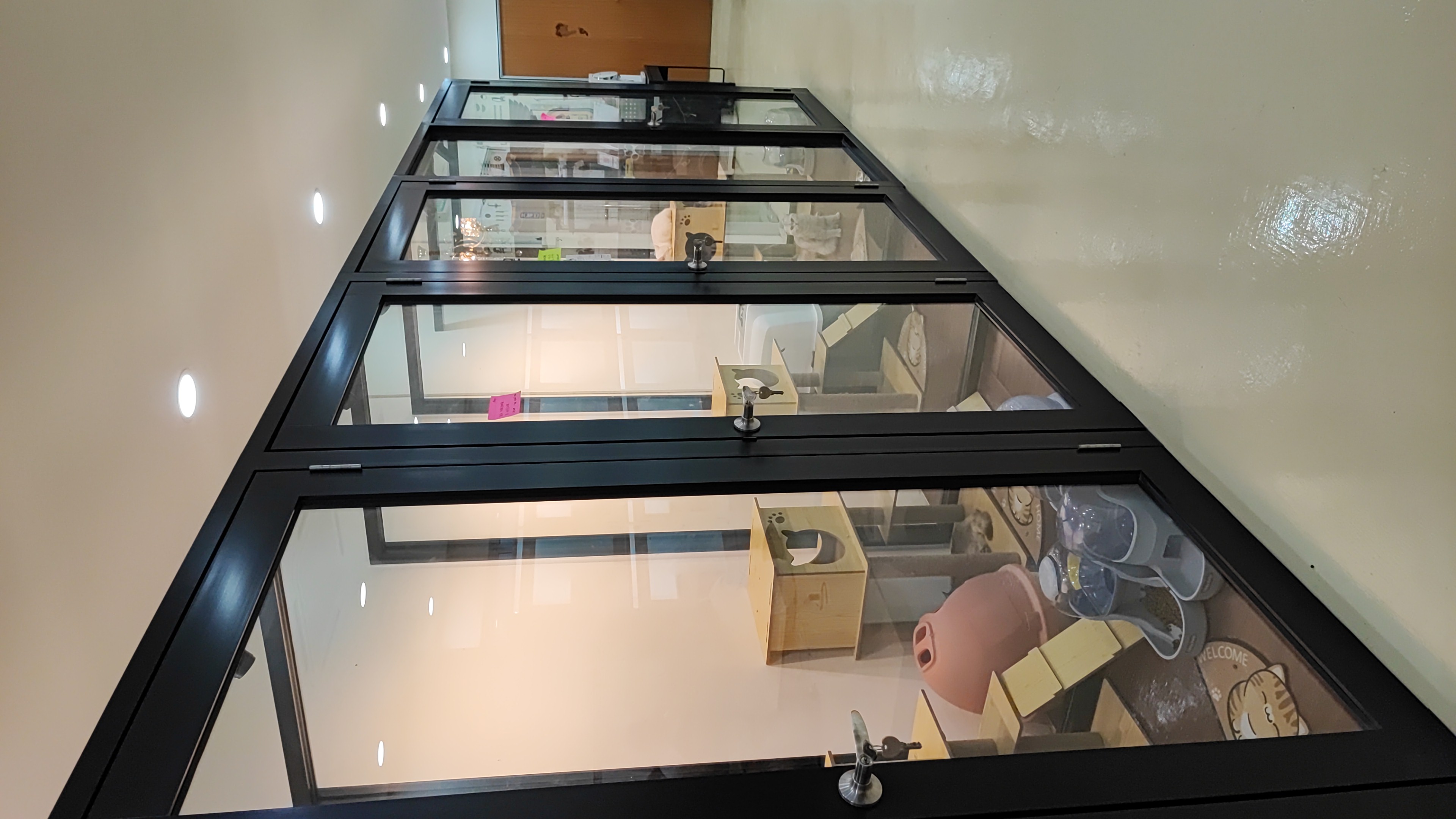 Cats Pyramid CyberjayaN, CyberjayaN, SelangorN Petotum