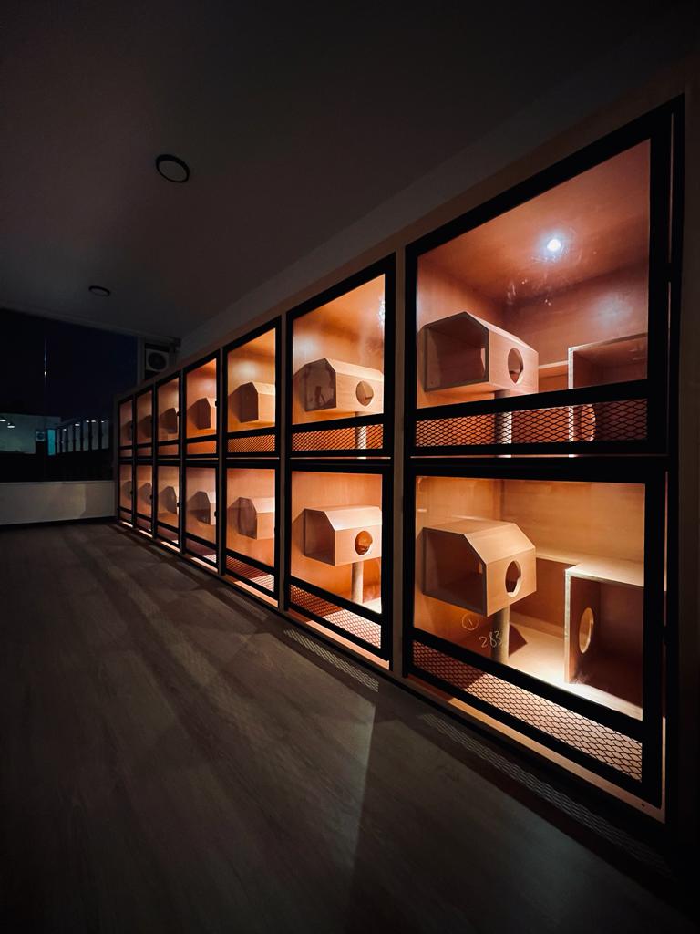 Cattesori Cat Hotel & Grooming , Puchong , Selangor Petotum