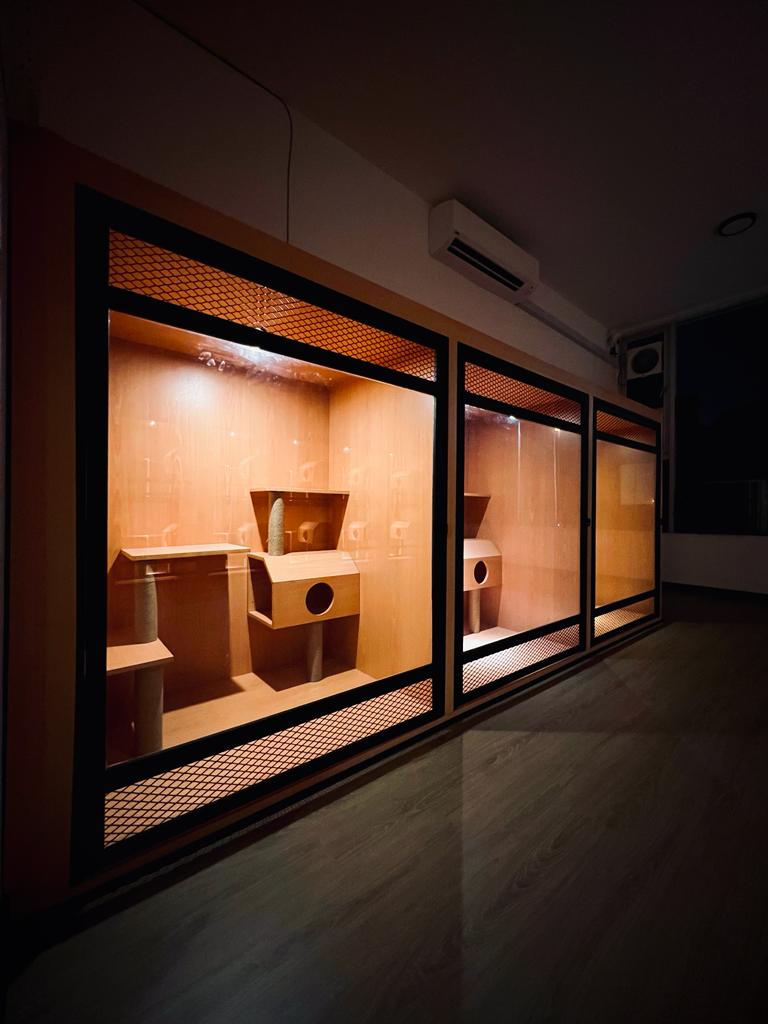 Cattesori Cat Hotel & Grooming , Puchong , Selangor Petotum