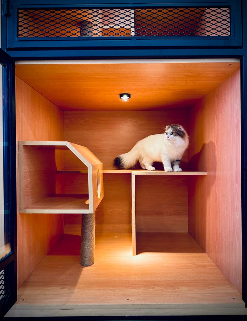 Cattesori Cat Hotel & Grooming , Puchong , Selangor Petotum