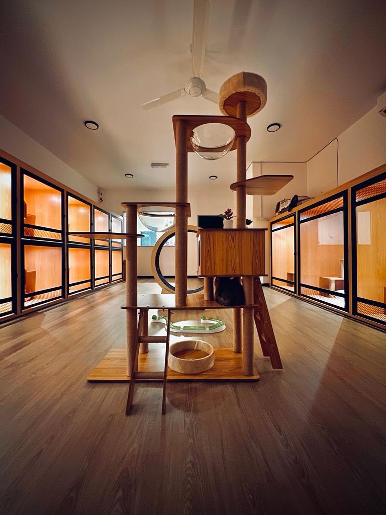Cattesori Cat Hotel & Grooming , Puchong , Selangor Petotum