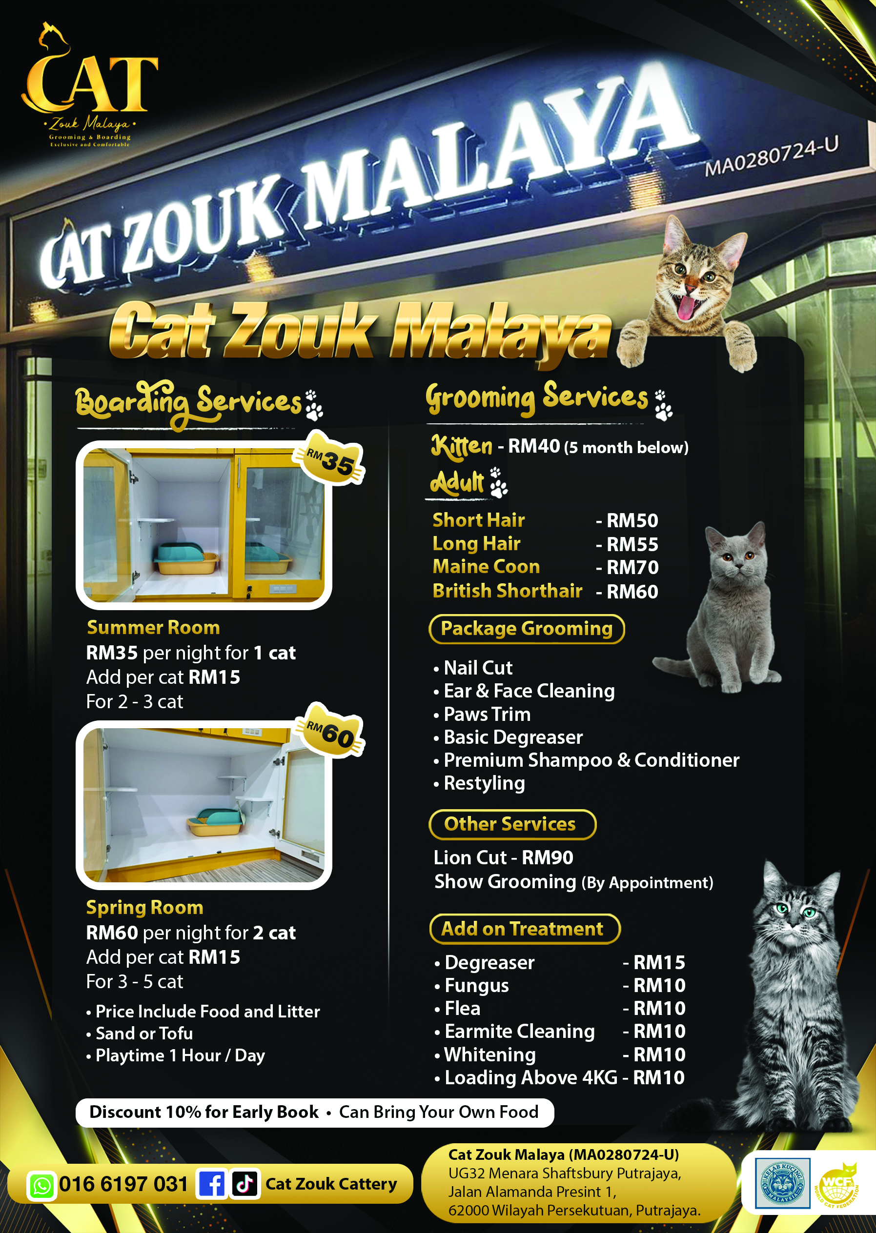 Cat grooming deals prices